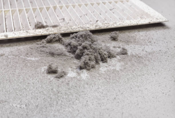 Best Affordable Duct Cleaning Services  in New Egypt, NJ