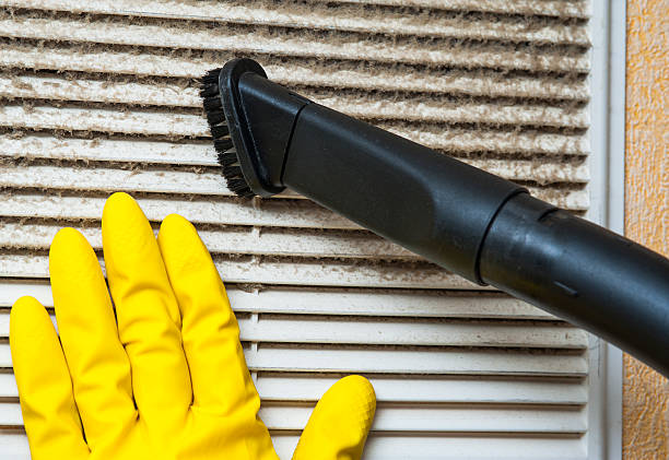 Best Affordable Air Duct Cleaning  in New Egypt, NJ